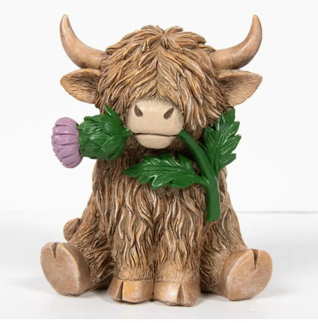 Highland Cow with Thistle