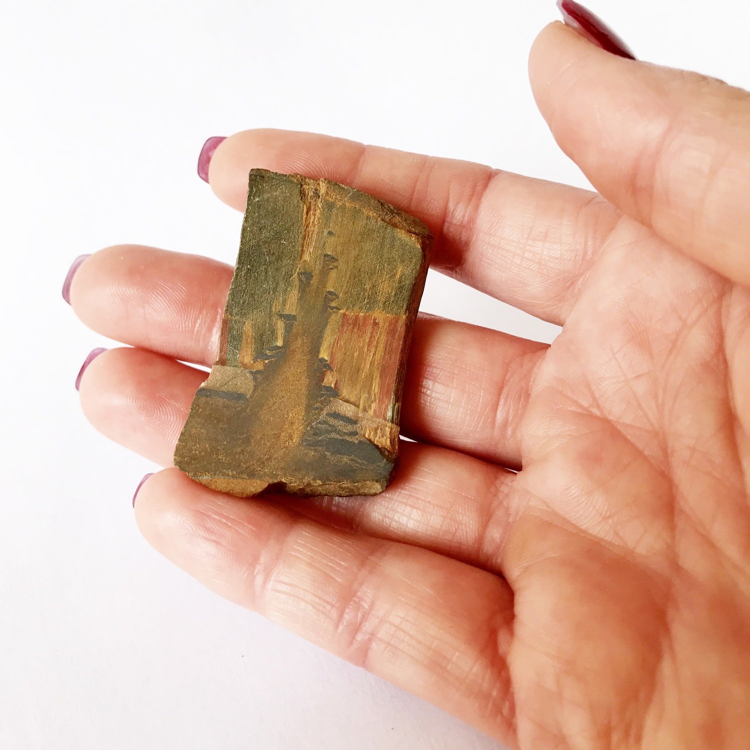 Petrified Wood