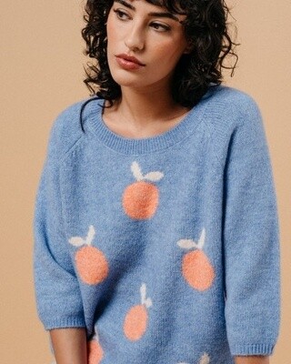 Grace&amp;Mila Chandail tricot Macy Sweater bleu motif pèches 22254