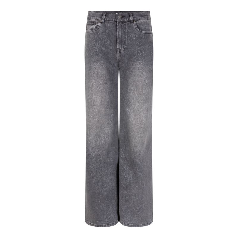 Esqualo Jeans gris brillants jambes droites W2512709