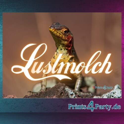 Lustmolch 50 Stück