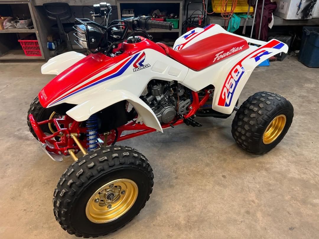1987 HONDA TRX250R