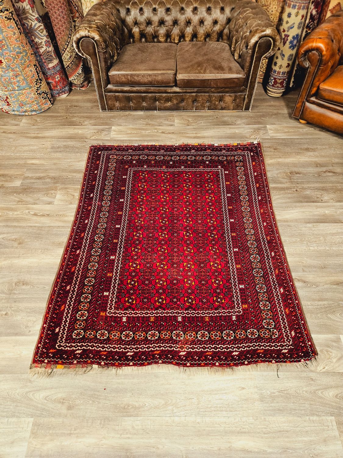 Afghaans Handgeknoopt Tapijt