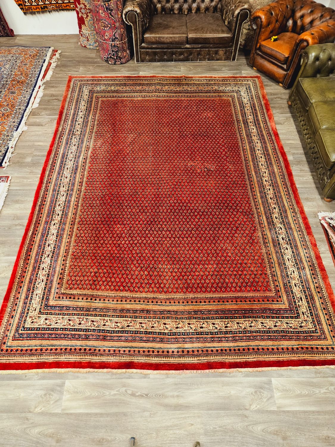 Perzisch Handgeknoopt Sarough Mir Tapijt