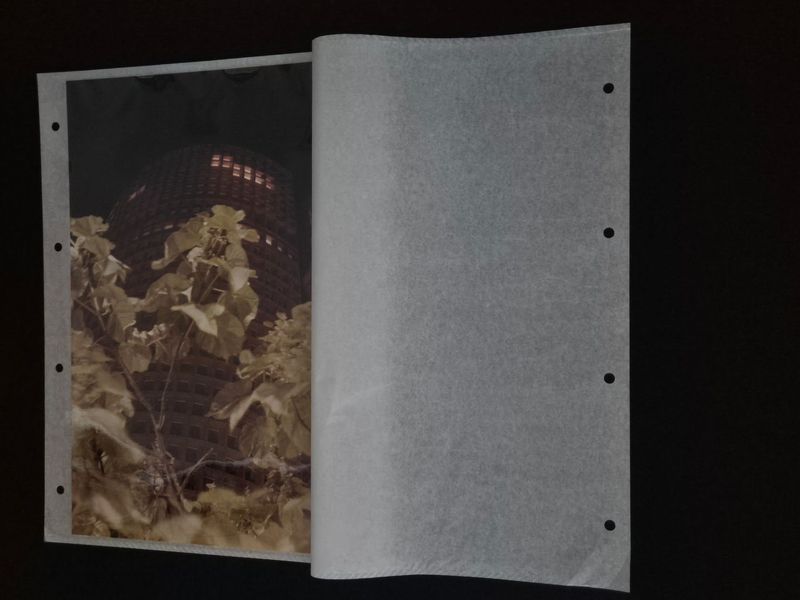 Pochettes film polyester perforées - Contenance : 24 x 30