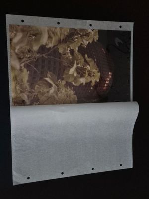 Pochettes film polyester perforées - Contenance : 24 x 30