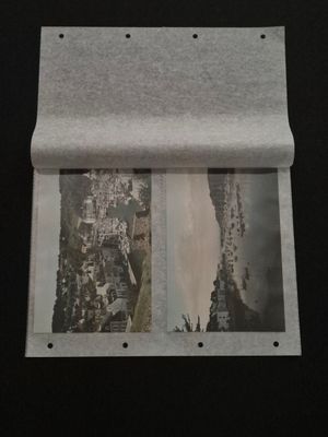 Pochettes film polyester perforées à compartiments - Contenance : 2 formats 13 x 18
