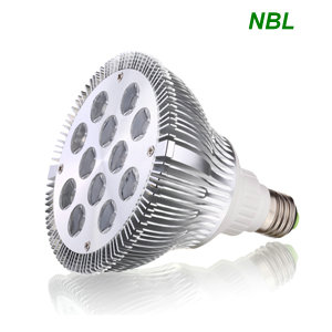 FOCO DE LEDS PAR 38 DIMEABLE 12X2DW - 12X2DWW - 12X2DLD