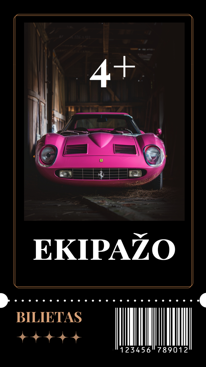 EKIPAŽO BILIETAS vienai pasirinktinai dienai