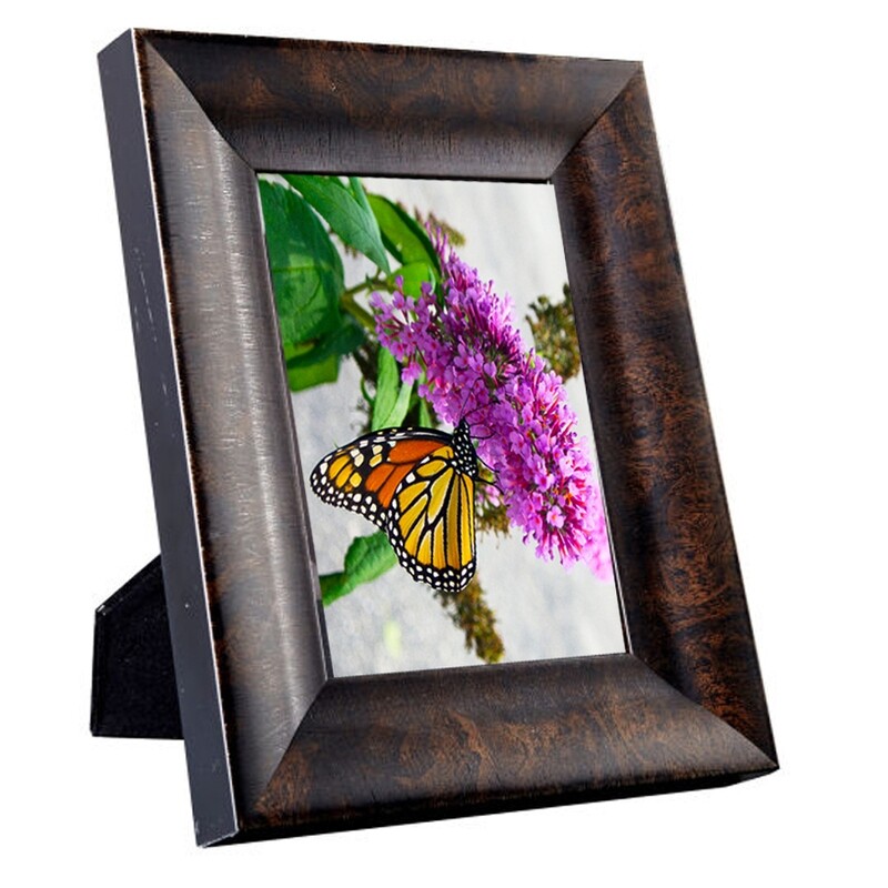 Pink Landing Butterfly