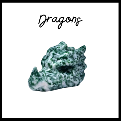 DRAGONS