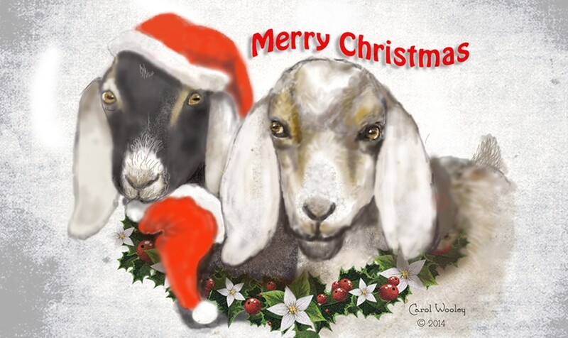 Goat Christmas Party