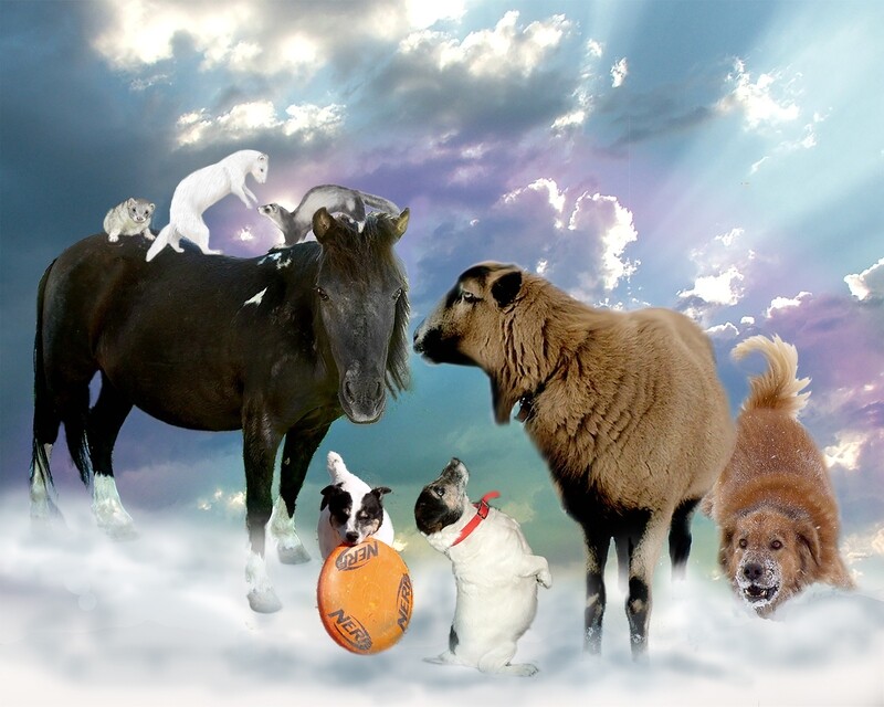 Creative photos - contact me for pricing