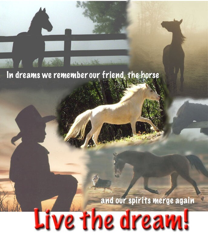 Live the Dream