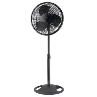 Stand Fan Blk16&quot; Brown Box