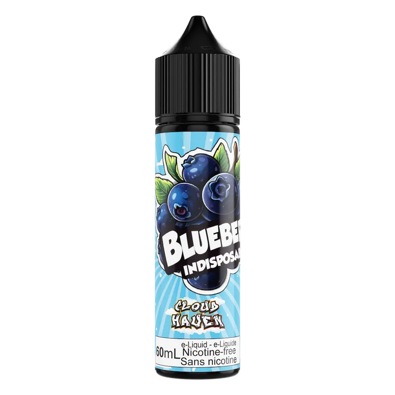 Cloud Haven Indisposable Salts - Blueberry