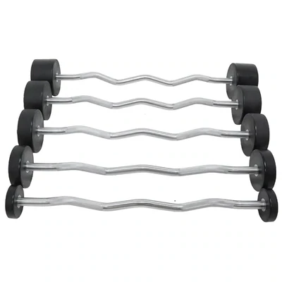 Fixed Curl Barbell Set and Stand