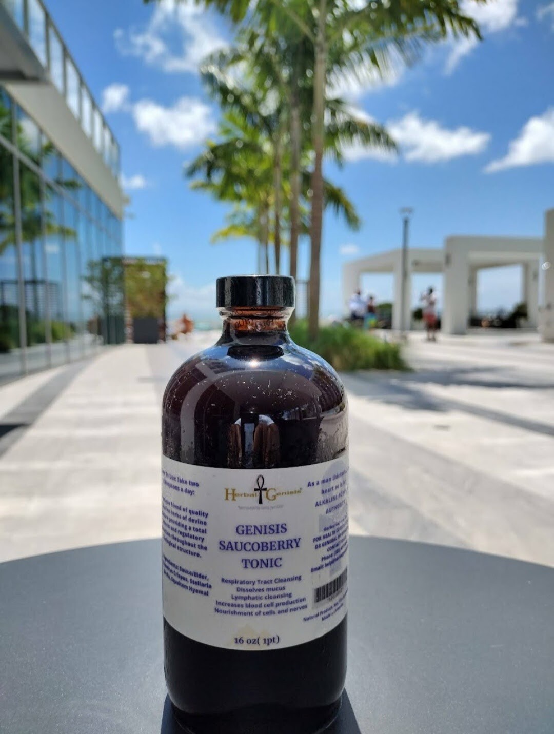 GENISIS SAUCOBERRY TONIC🌿 HYDRATE, ENERGY, BALANCE