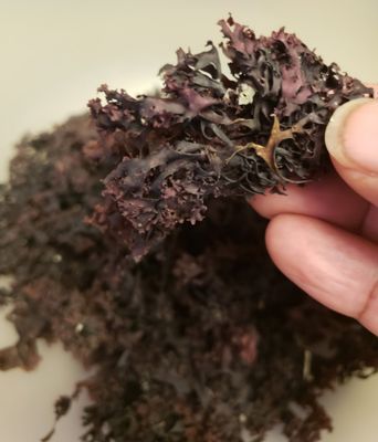 Wild Crafted Atlantic Sea Moss - Alkaline Nourishing Super Food🌿 (90ct)
