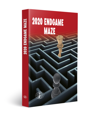 Endgame Maze - Ivan Ivanisevic
