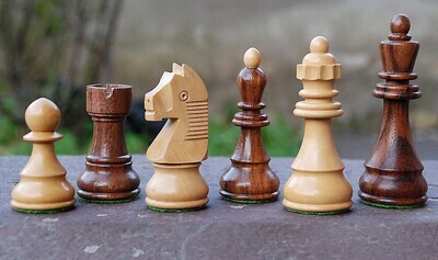 Caissa Extra Chess Pieces
