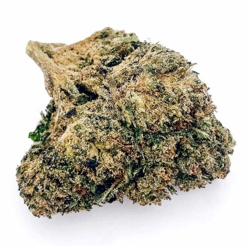 Pacific Cooler HHC, Size: 1g