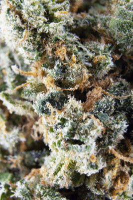 Lemon Cookie Dough THC-A (Indica)