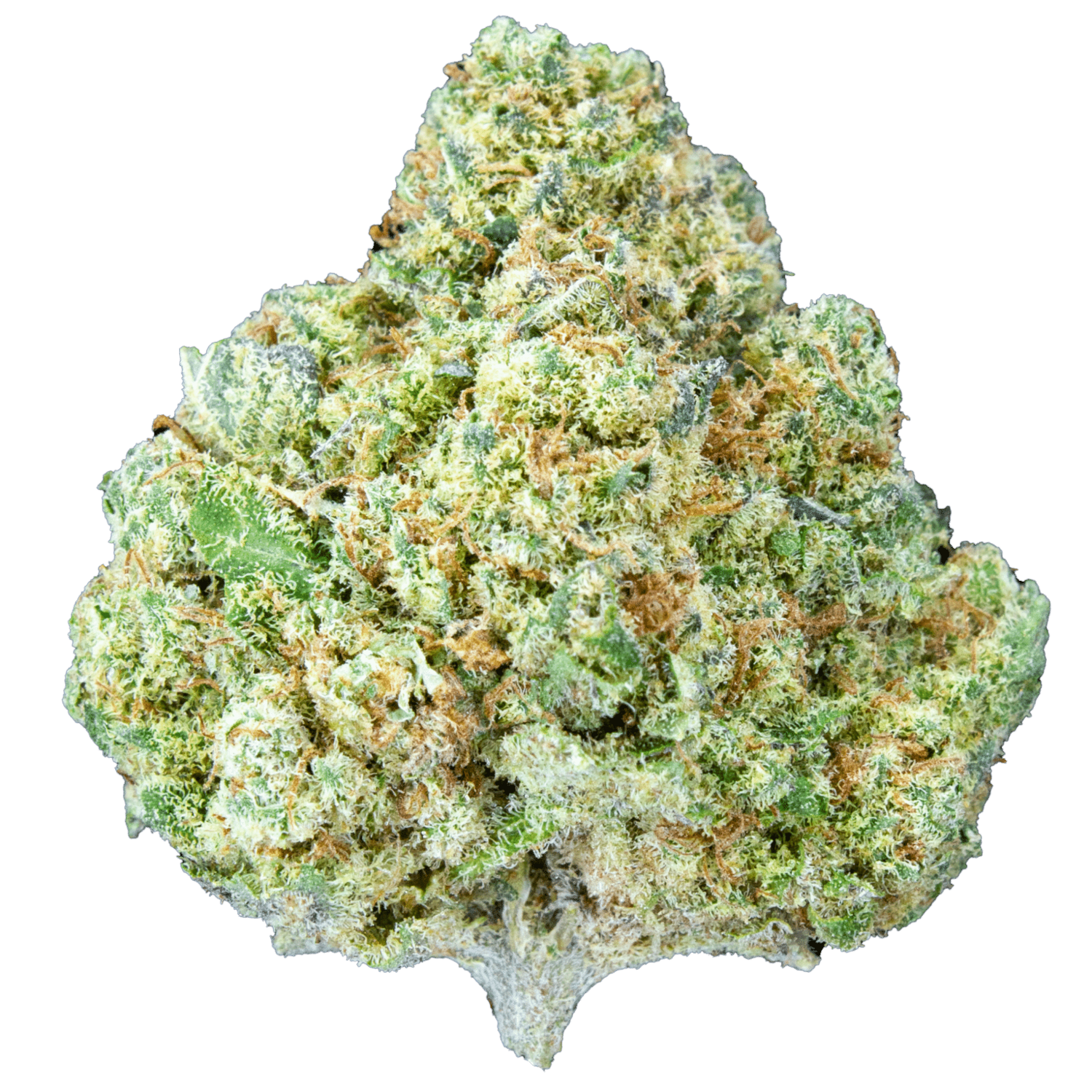 Eraser Kush HHC, Size: 1g
