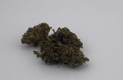 Sour BlueBerry Kush HHC