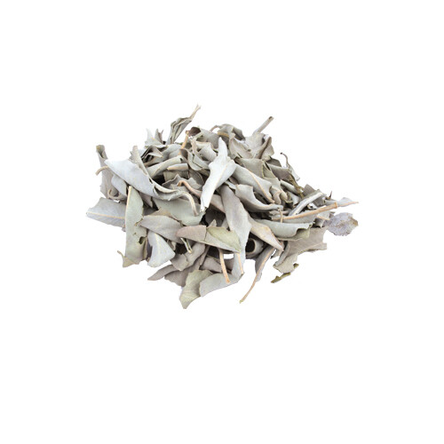 Salvia Bianca Smudge