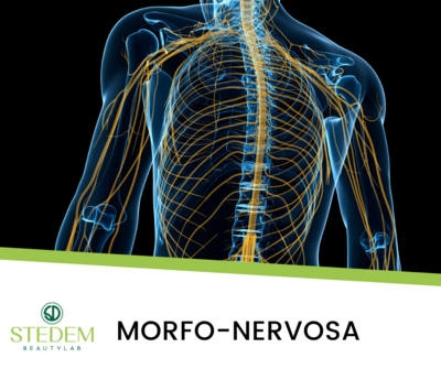 Sinergia Tonificante-NERVOSA