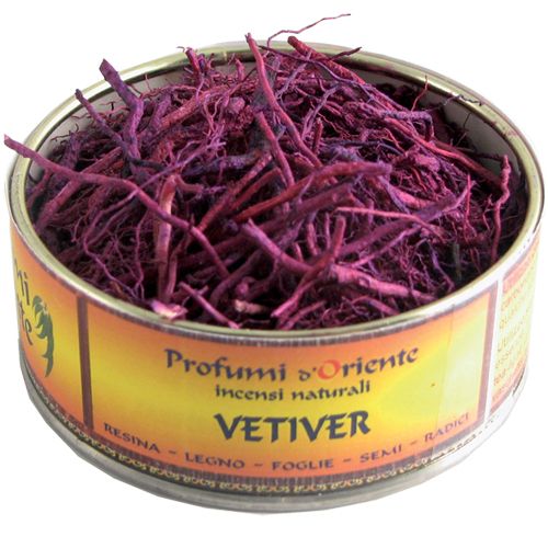 Vetiver