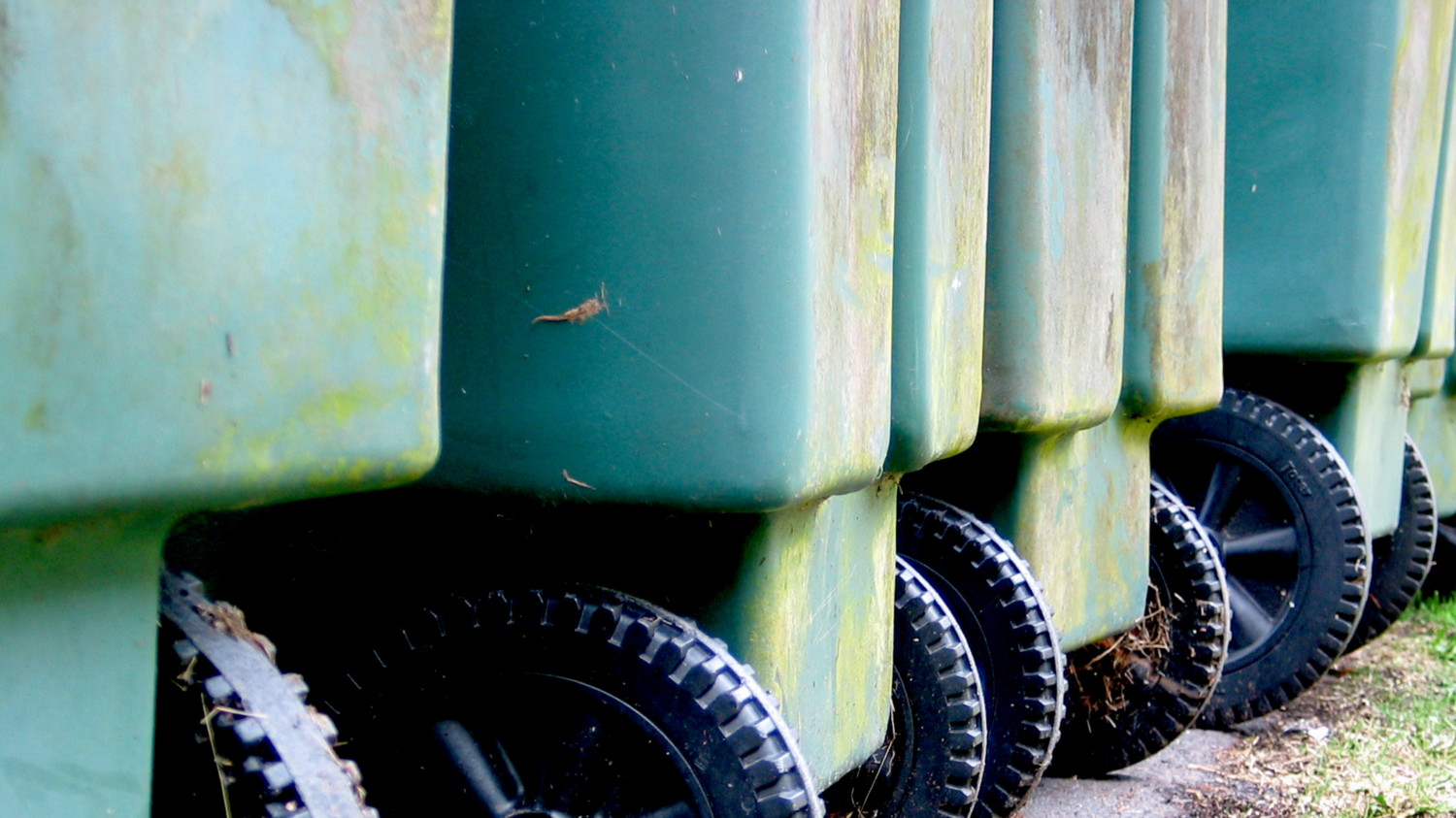 Garbage Can &amp; Dumpster Sanitizing