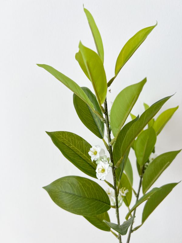 faux jasmine leaves