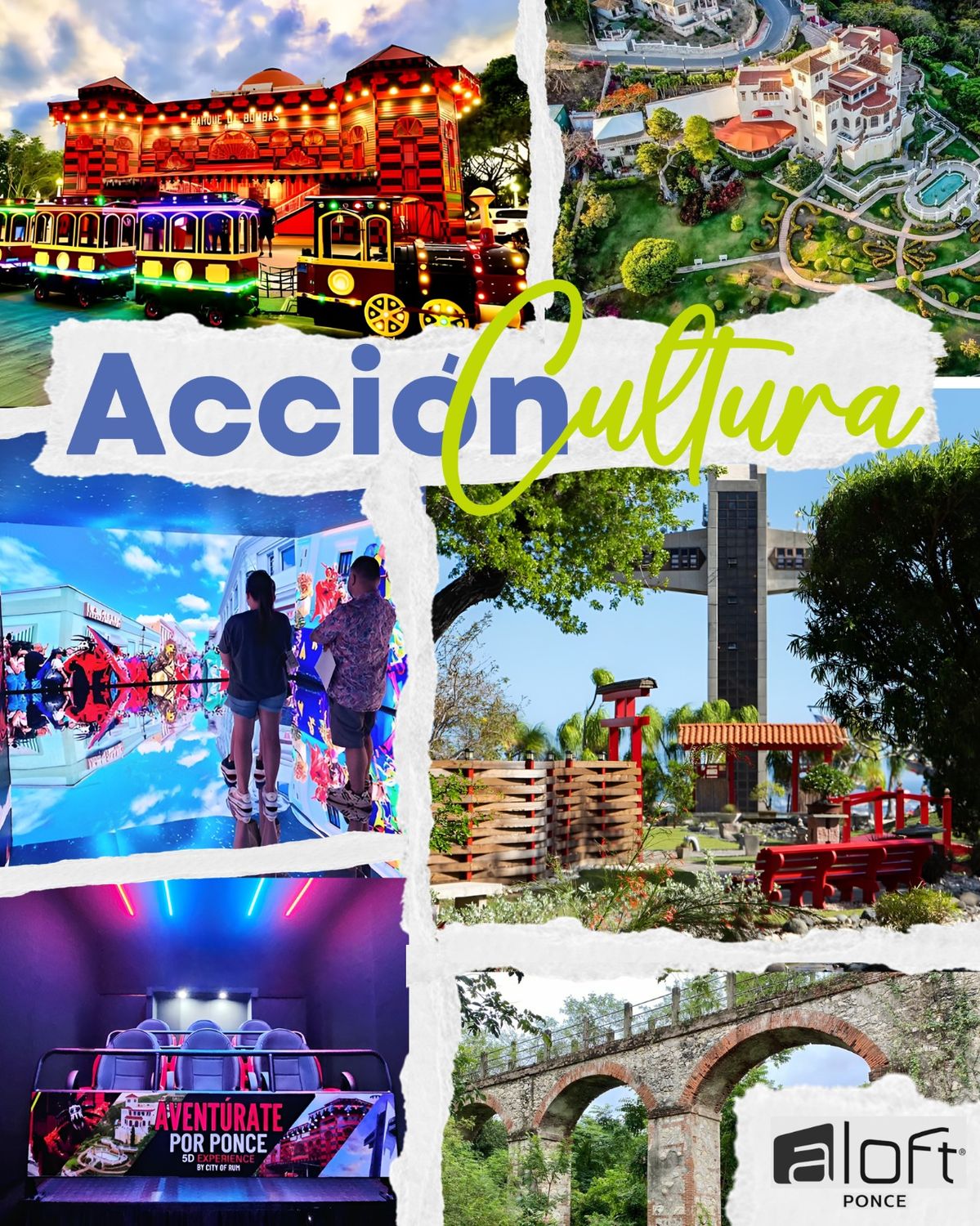Oferta Acción y Cultura