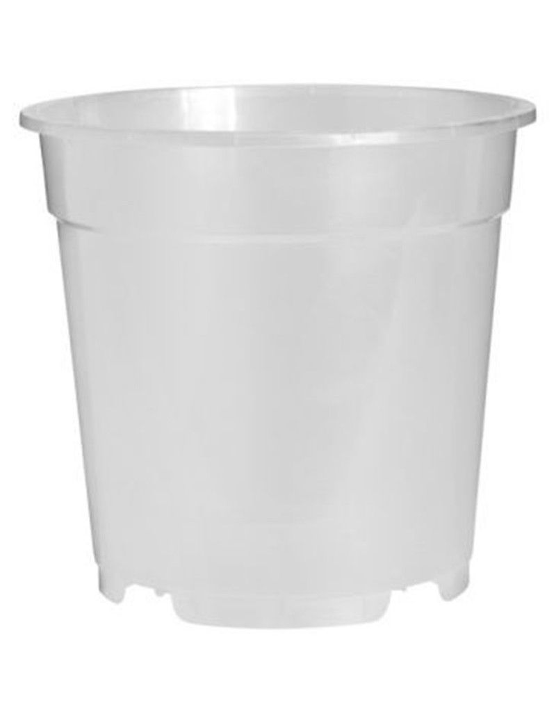 Maceta para orquídea Florus 17cm