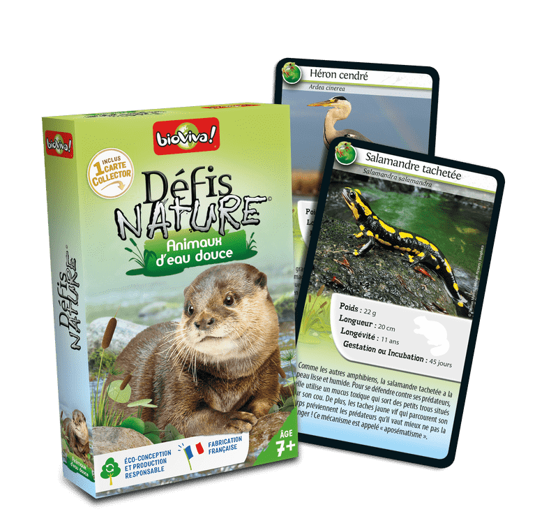Défis Nature / Animaux D&#39;Eau Douce