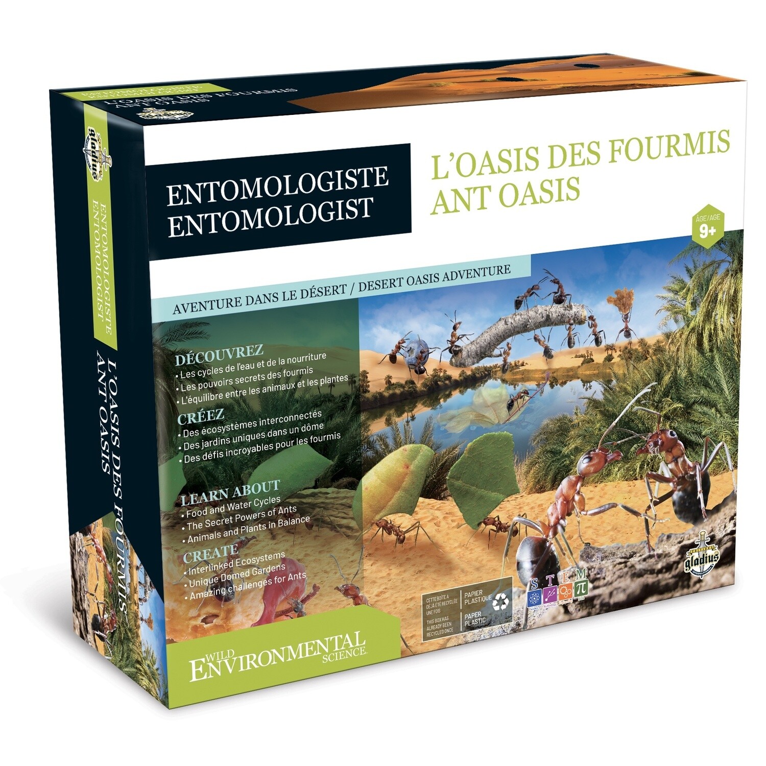 Entomologiste - L&#39;oasis des fourmis