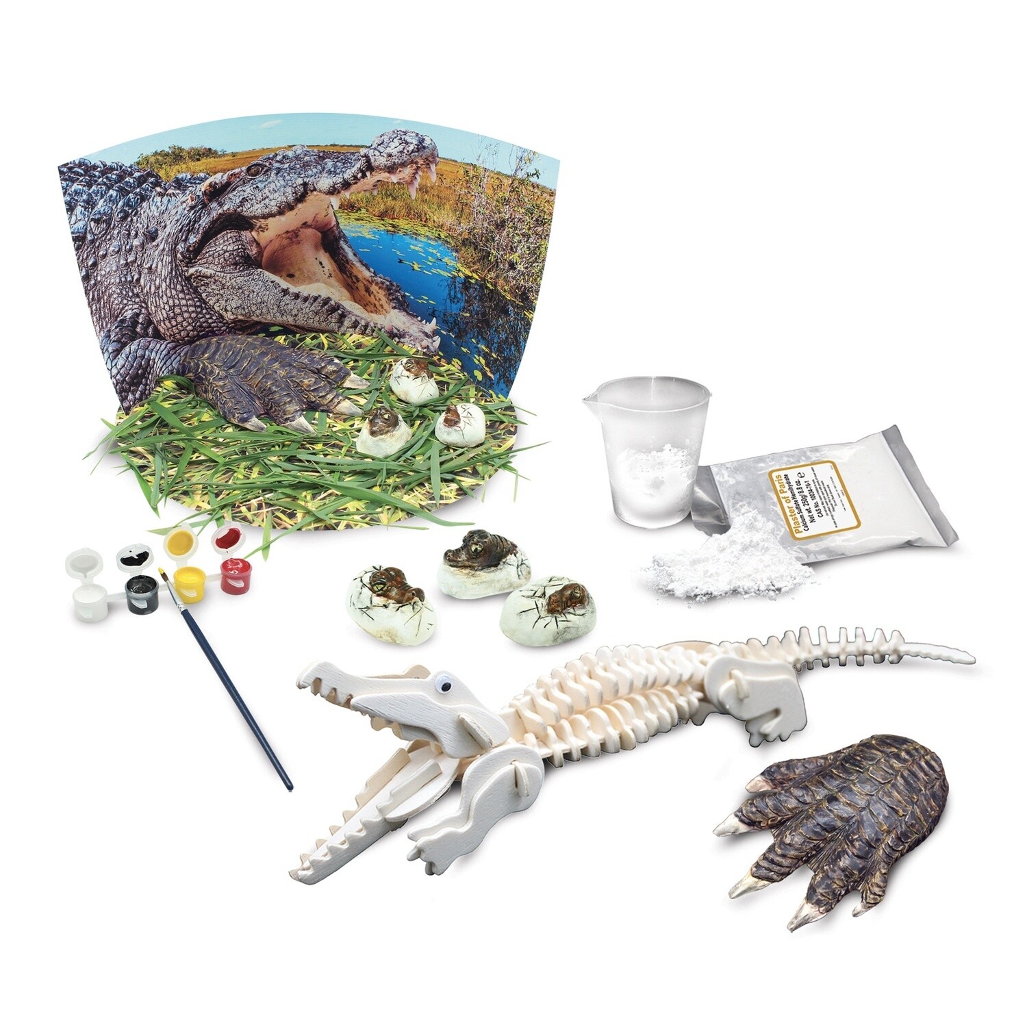 Crocodiles extrêmes