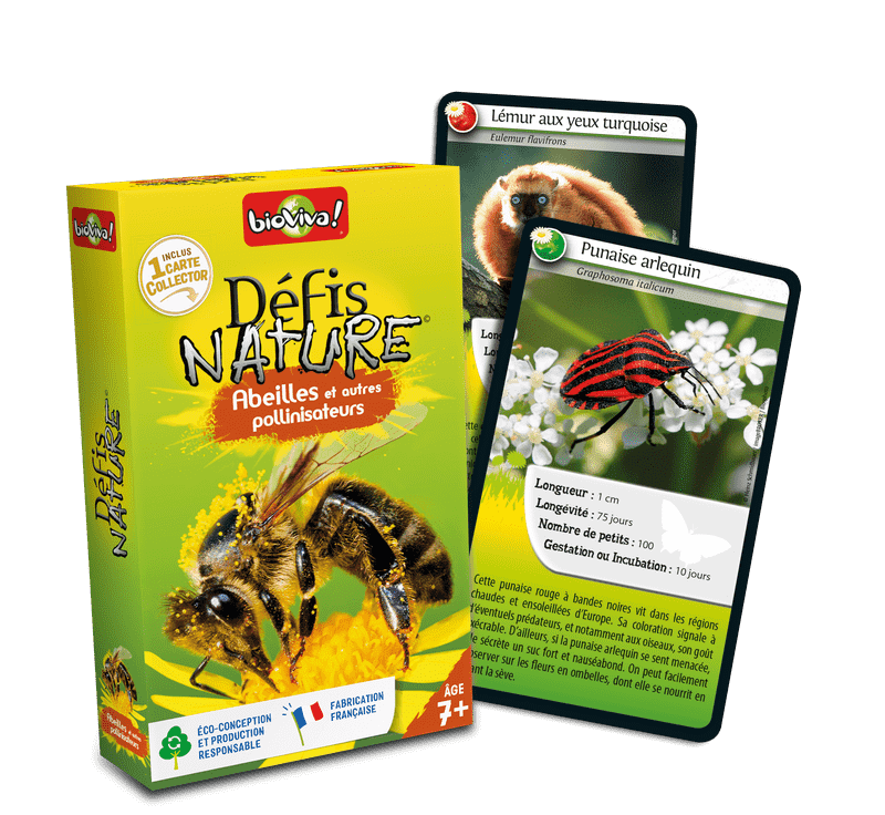 Défis Nature / Abeilles Et Autres Pollinisateurs