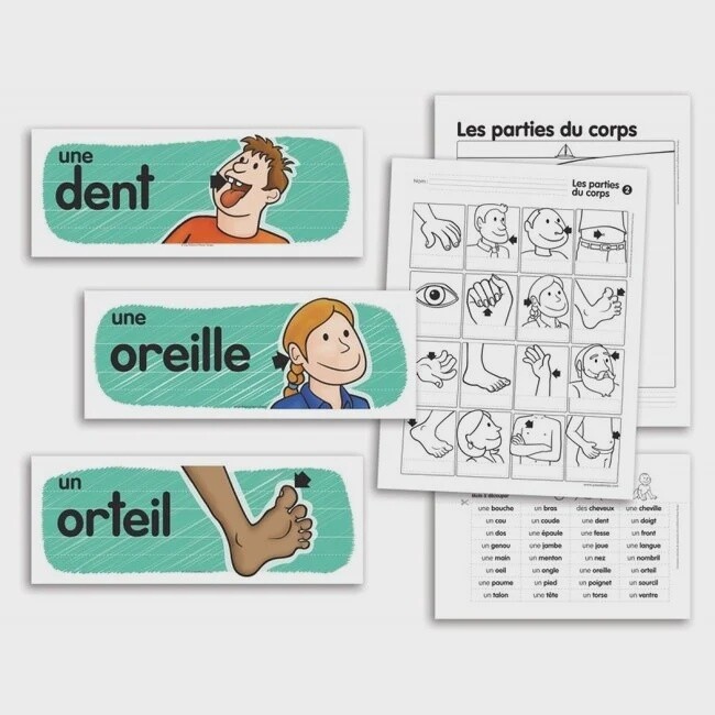 Devinettes Des Parties Du Corps