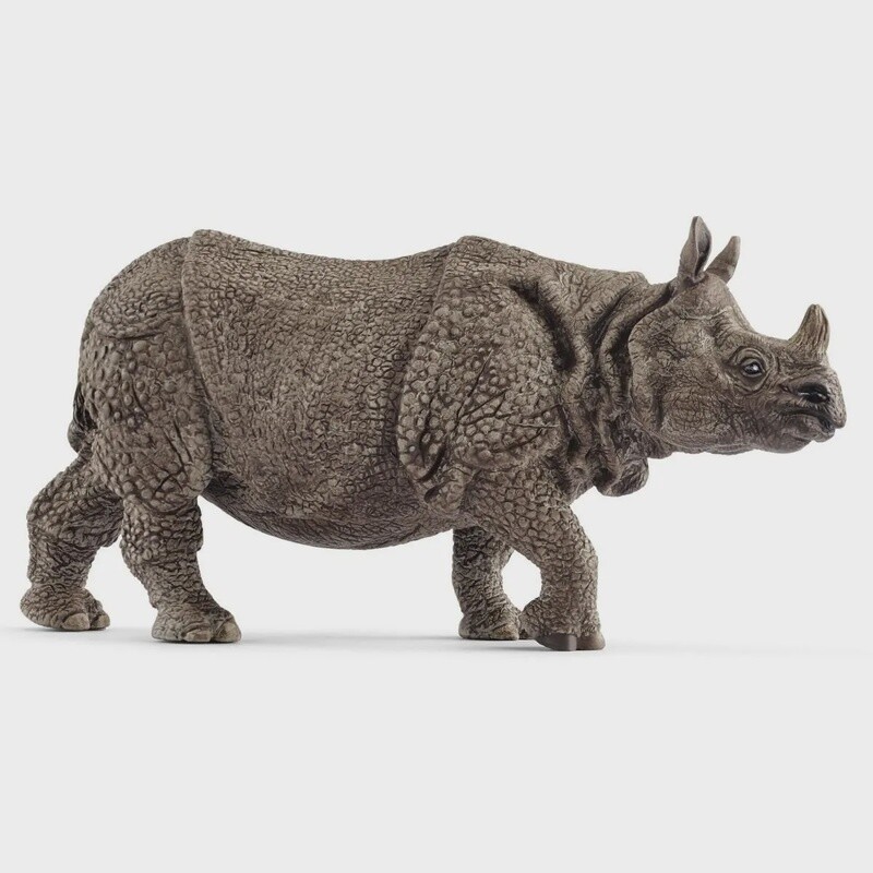 Rhinoceros Indien