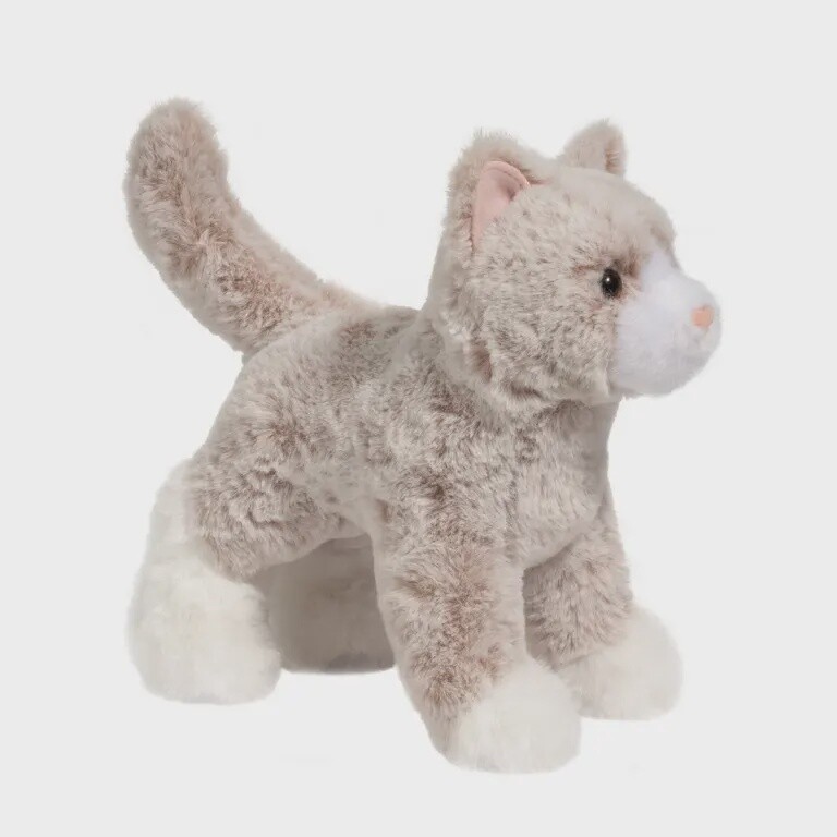 Abby Tan Cat