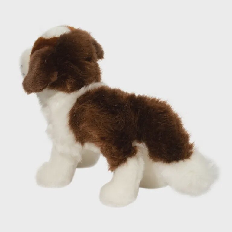 Brutus St-Bernard