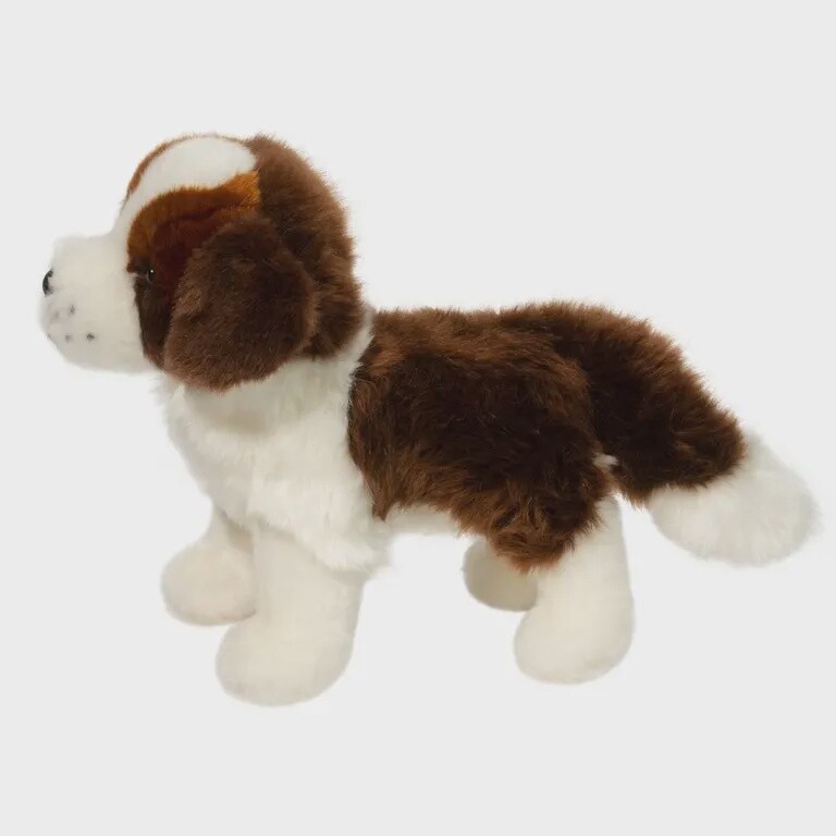 Brutus St-Bernard