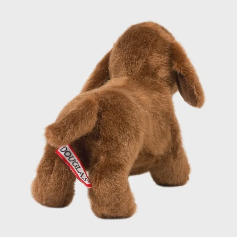 Dilly le Teckel / Dilly Dachshund
