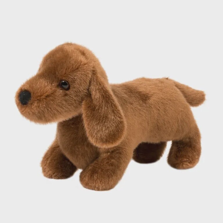Dilly le Teckel / Dilly Dachshund