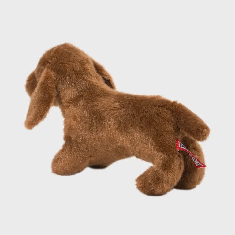 Dilly le Teckel / Dilly Dachshund