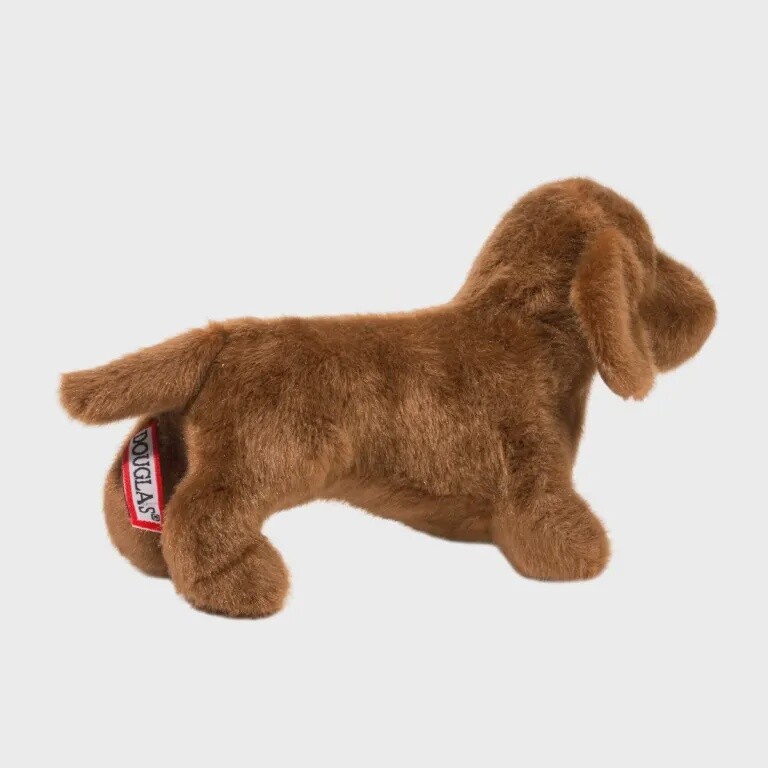 Dilly le Teckel / Dilly Dachshund