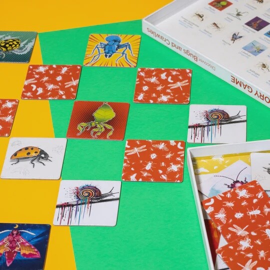 Jeu de Mémoire / À la Découverte des Petites Bêtes